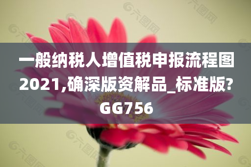 一般纳税人增值税申报流程图2021,确深版资解品_标准版?GG756