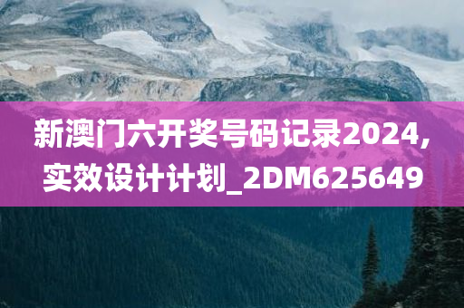 新澳门六开奖号码记录2024,实效设计计划_2DM625649