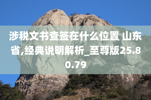 涉税文书查签在什么位置 山东省,经典说明解析_至尊版25.80.79