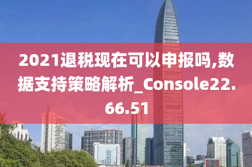 2021退税现在可以申报吗,数据支持策略解析_Console22.66.51