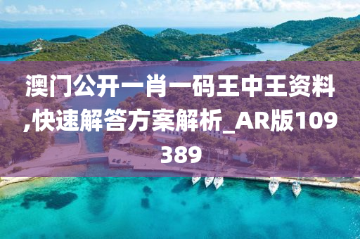 澳门公开一肖一码王中王资料,快速解答方案解析_AR版109389