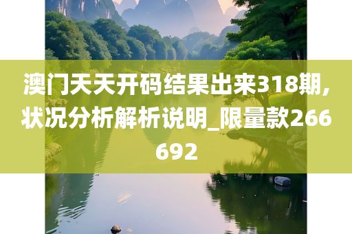 澳门天天开码结果出来318期,状况分析解析说明_限量款266692