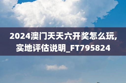 2024澳门天天六开奖怎么玩,实地评估说明_FT795824