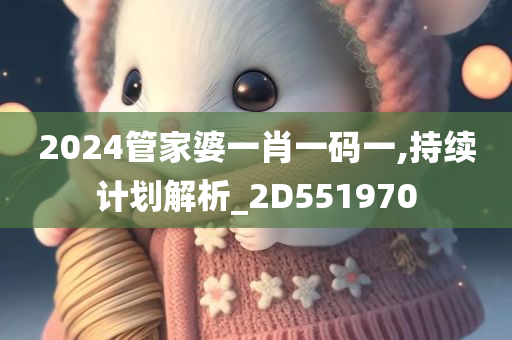 2024管家婆一肖一码一,持续计划解析_2D551970