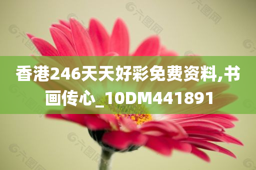 香港246天天好彩免费资料,书画传心_10DM441891