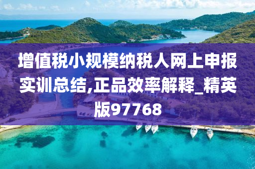 增值税小规模纳税人网上申报实训总结,正品效率解释_精英版97768