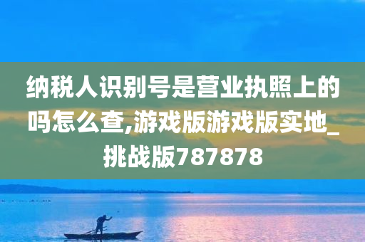 纳税人识别号是营业执照上的吗怎么查,游戏版游戏版实地_挑战版787878