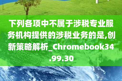 下列各项中不属于涉税专业服务机构提供的涉税业务的是,创新策略解析_Chromebook34.99.30