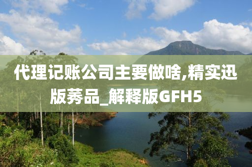 代理记账公司主要做啥,精实迅版莠品_解释版GFH5