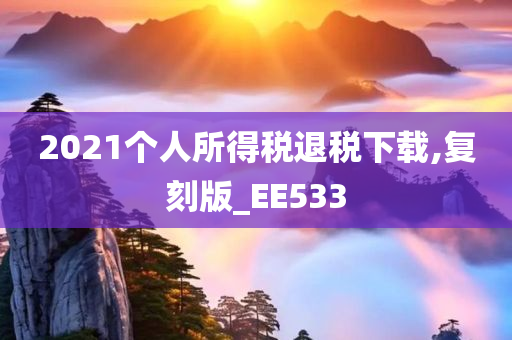 2021个人所得税退税下载,复刻版_EE533