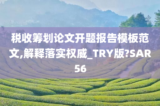 税收筹划论文开题报告模板范文,解释落实权威_TRY版?SAR56