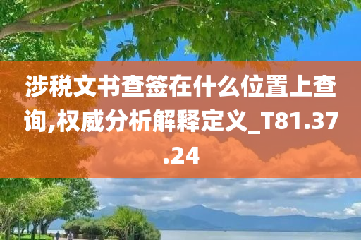 涉税文书查签在什么位置上查询,权威分析解释定义_T81.37.24