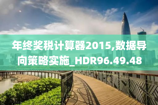 年终奖税计算器2015,数据导向策略实施_HDR96.49.48