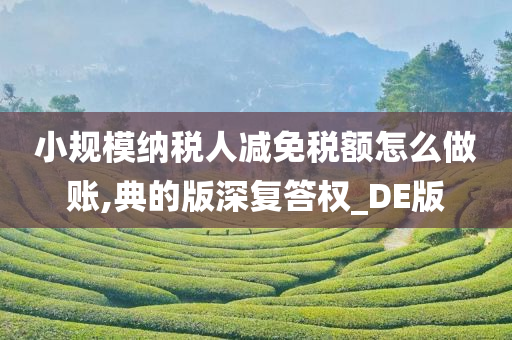 小规模纳税人减免税额怎么做账,典的版深复答权_DE版