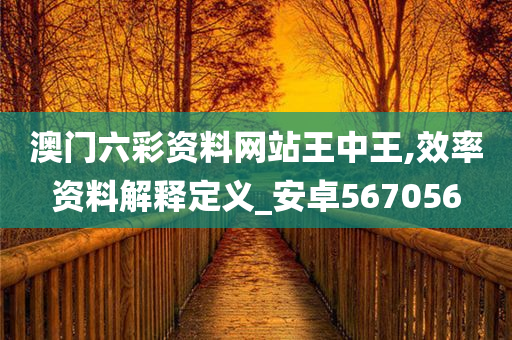 澳门六彩资料网站王中王,效率资料解释定义_安卓567056