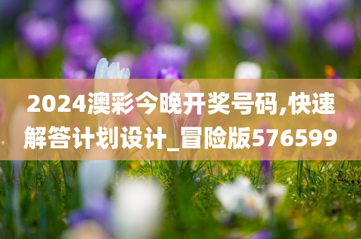 2024澳彩今晚开奖号码,快速解答计划设计_冒险版576599