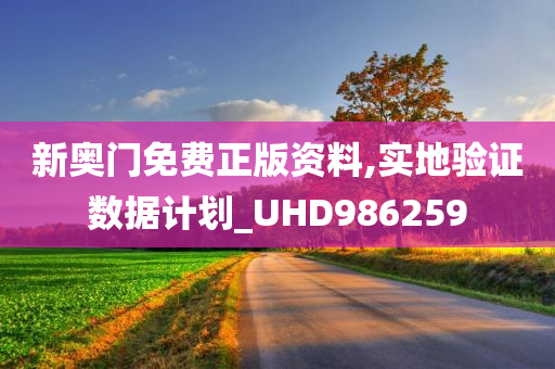 新奥门免费正版资料,实地验证数据计划_UHD986259