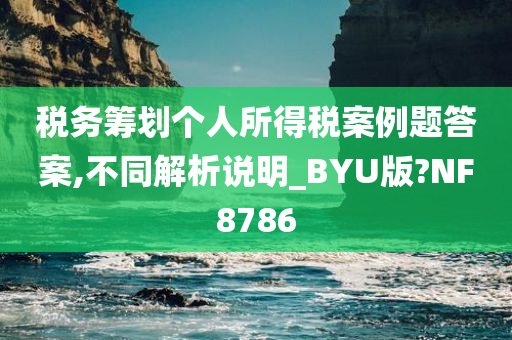 税务筹划个人所得税案例题答案,不同解析说明_BYU版?NF8786