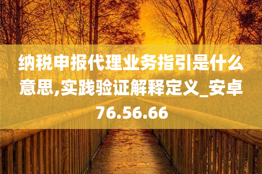 纳税申报代理业务指引是什么意思,实践验证解释定义_安卓76.56.66