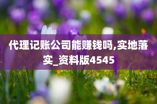 代理记账公司能赚钱吗,实地落实_资料版4545