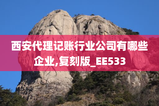 西安代理记账行业公司有哪些企业,复刻版_EE533