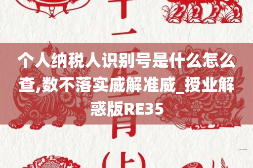 个人纳税人识别号是什么怎么查,数不落实威解准威_授业解惑版RE35