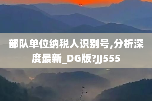 部队单位纳税人识别号,分析深度最新_DG版?JJ555