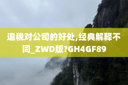 退税对公司的好处,经典解释不同_ZWD版?GH4GF89