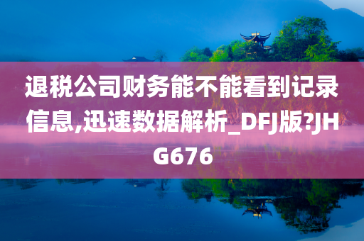 退税公司财务能不能看到记录信息,迅速数据解析_DFJ版?JHG676