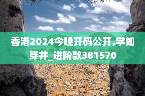 香港2024今晚开码公开,学如穿井_进阶款381570