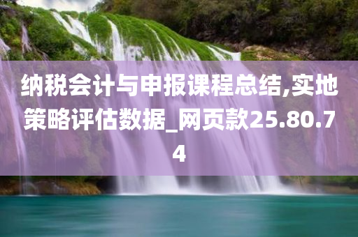 纳税会计与申报课程总结,实地策略评估数据_网页款25.80.74