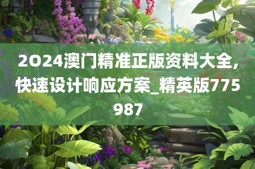 2O24澳门精准正版资料大全,快速设计响应方案_精英版775987