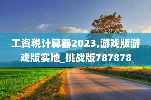 工资税计算器2023,游戏版游戏版实地_挑战版787878