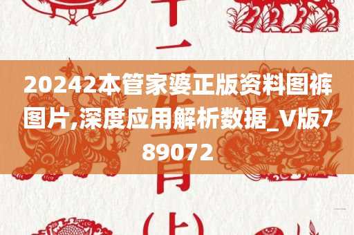 20242本管家婆正版资料图裤图片,深度应用解析数据_V版789072