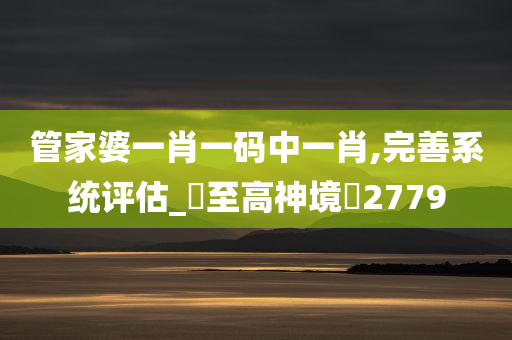 管家婆一肖一码中一肖,完善系统评估_‌至高神境‌2779