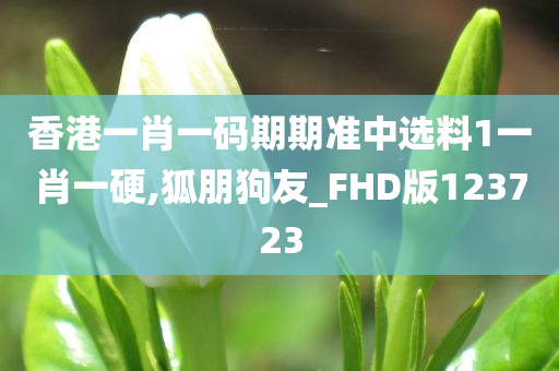 香港一肖一码期期准中选料1一肖一硬,狐朋狗友_FHD版123723