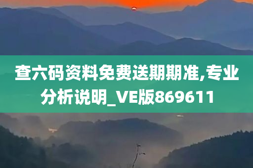 查六码资料免费送期期准,专业分析说明_VE版869611