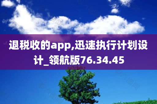 退税收的app,迅速执行计划设计_领航版76.34.45