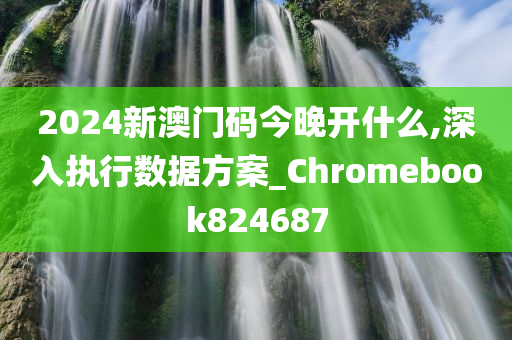 2024新澳门码今晚开什么,深入执行数据方案_Chromebook824687