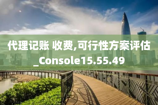 代理记账 收费,可行性方案评估_Console15.55.49