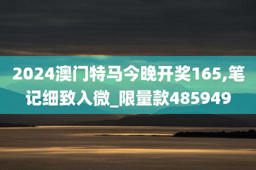 2024澳门特马今晚开奖165,笔记细致入微_限量款485949