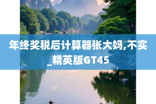 年终奖税后计算器张大妈,不实_精英版GT45