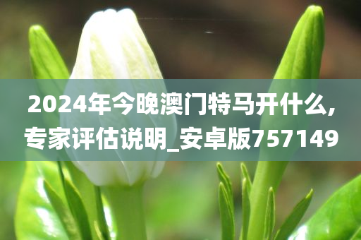 2024年今晚澳门特马开什么,专家评估说明_安卓版757149