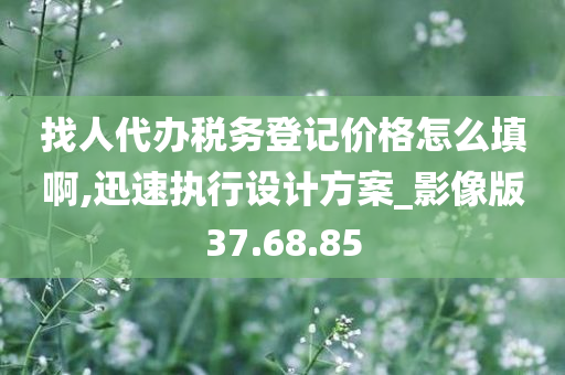 找人代办税务登记价格怎么填啊,迅速执行设计方案_影像版37.68.85