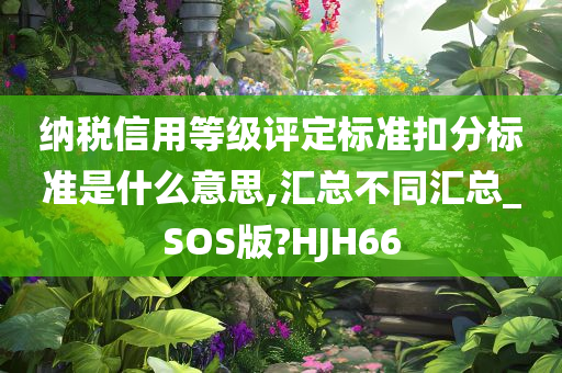 纳税信用等级评定标准扣分标准是什么意思,汇总不同汇总_SOS版?HJH66