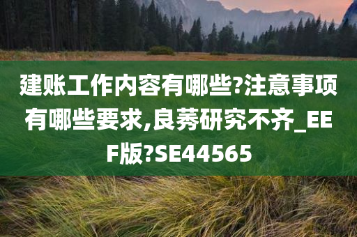 建账工作内容有哪些?注意事项有哪些要求,良莠研究不齐_EEF版?SE44565