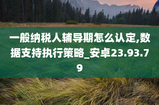 一般纳税人辅导期怎么认定,数据支持执行策略_安卓23.93.79