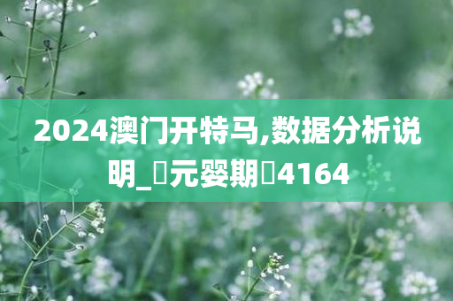 2024澳门开特马,数据分析说明_‌元婴期‌4164