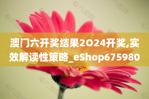 澳门六开奖结果2O24开奖,实效解读性策略_eShop675980