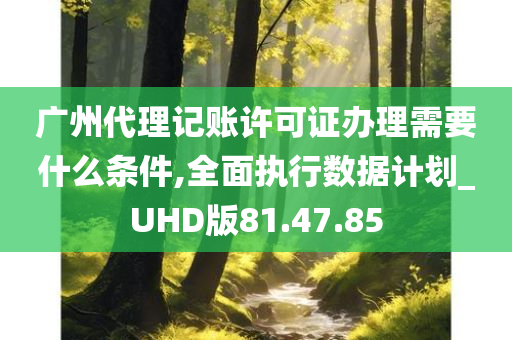 广州代理记账许可证办理需要什么条件,全面执行数据计划_UHD版81.47.85